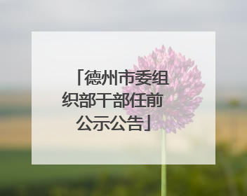 德州市委组织部干部任前公示公告