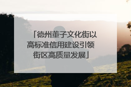 德州董子文化街以高标准信用建设引领街区高质量发展