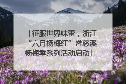 征服世界味蕾，浙江“六月杨梅红”暨慈溪杨梅季系列活动启动