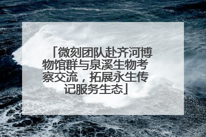 微刻团队赴齐河博物馆群与泉溪生物考察交流，拓展永生传记服务生态