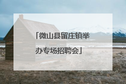 微山县留庄镇举办专场招聘会