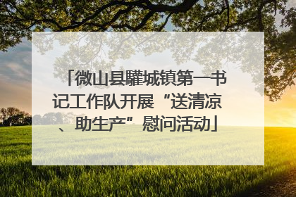 微山县驩城镇第一书记工作队开展“送清凉、助生产”慰问活动