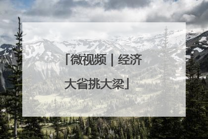 微视频｜经济大省挑大梁