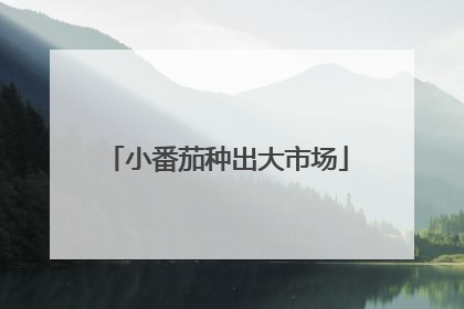 小番茄种出大市场