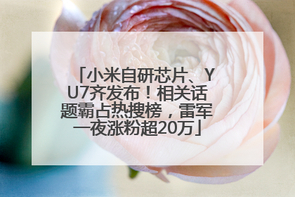 小米自研芯片、YU7齐发布！相关话题霸占热搜榜，雷军一夜涨粉超20万