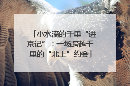 小水滴的千里“进京记”：一场跨越千里的“北上”约会