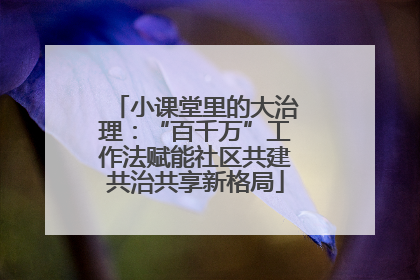 小课堂里的大治理：“百千万”工作法赋能社区共建共治共享新格局