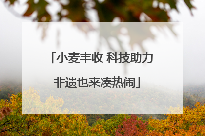 小麦丰收 科技助力 非遗也来凑热闹
