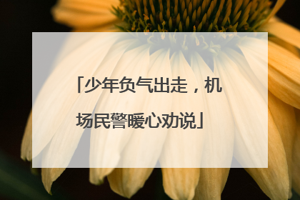 少年负气出走，机场民警暖心劝说