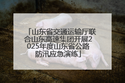山东省交通运输厅联合山东高速集团开展2025年度山东省公路防汛应急演练