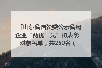 山东省国资委公示省属企业“两优一先”拟表彰对象名单，共250名（个）党员和党组织