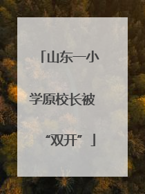 山东一小学原校长被“双开”