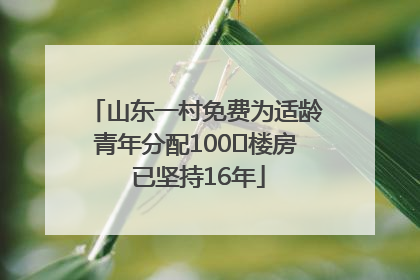 山东一村免费为适龄青年分配100㎡楼房 已坚持16年