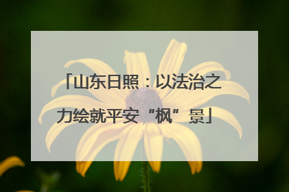 山东日照：以法治之力绘就平安“枫”景