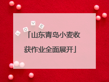 山东青岛小麦收获作业全面展开