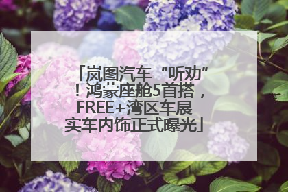岚图汽车“听劝”！鸿蒙座舱5首搭，FREE+湾区车展实车内饰正式曝光