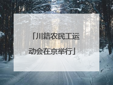 川籍农民工运动会在京举行