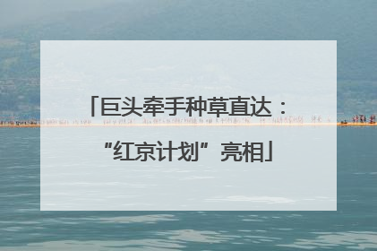 巨头牵手种草直达：“红京计划”亮相