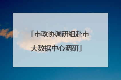 市政协调研组赴市大数据中心调研