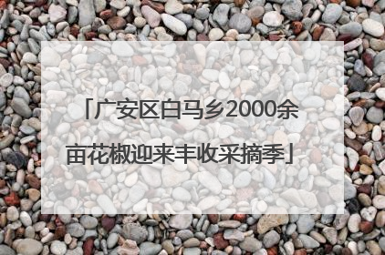广安区白马乡2000余亩花椒迎来丰收采摘季
