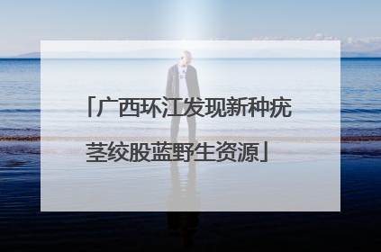 广西环江发现新种疣茎绞股蓝野生资源