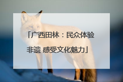 广西田林：民众体验非遗 感受文化魅力