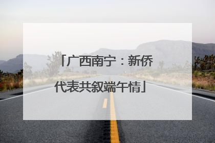 广西南宁：新侨代表共叙端午情