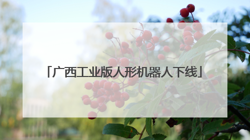 广西工业版人形机器人下线