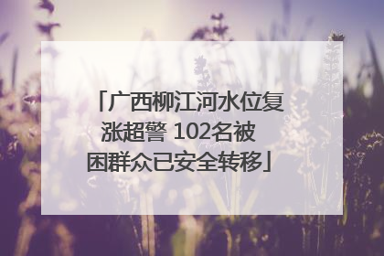 广西柳江河水位复涨超警 102名被困群众已安全转移