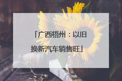 广西梧州：以旧换新汽车销售旺