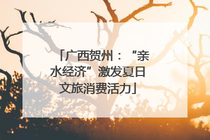 广西贺州：“亲水经济”激发夏日文旅消费活力