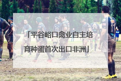 平谷峪口禽业自主培育种蛋首次出口非洲