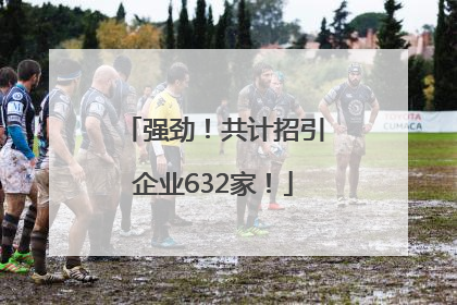 强劲！共计招引企业632家！