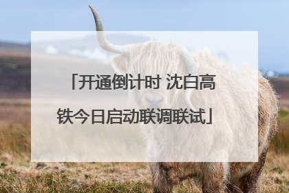 开通倒计时 沈白高铁今日启动联调联试