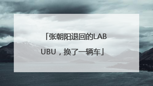 张朝阳退回的LABUBU，换了一辆车