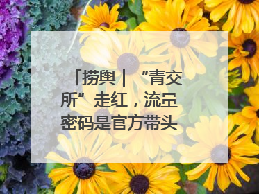 捞舆｜“青交所”走红，流量密码是官方带头“玩起来”