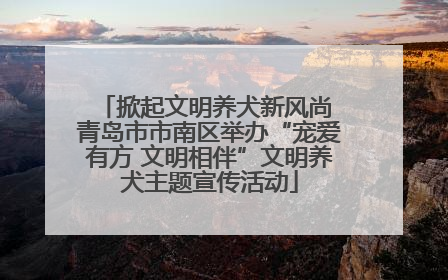 掀起文明养犬新风尚 青岛市市南区举办“宠爱有方 文明相伴”文明养犬主题宣传活动
