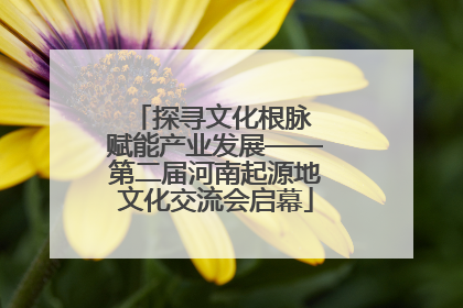 探寻文化根脉 赋能产业发展——第二届河南起源地文化交流会启幕