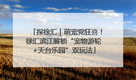 探徐汇｜萌宠党狂喜！徐汇滨江解锁“宠物游轮+天台乐园”双玩法