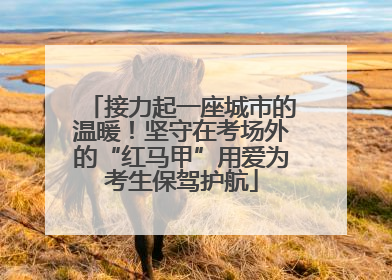 接力起一座城市的温暖！坚守在考场外的“红马甲”用爱为考生保驾护航