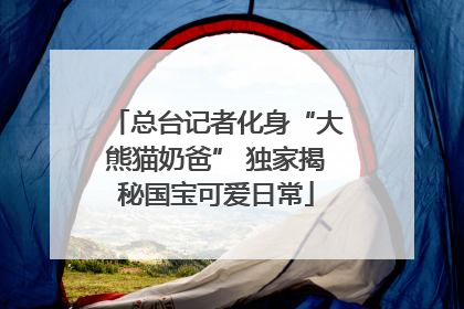总台记者化身“大熊猫奶爸” 独家揭秘国宝可爱日常