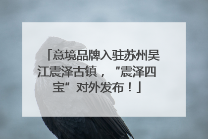 意境品牌入驻苏州吴江震泽古镇，“震泽四宝”对外发布！