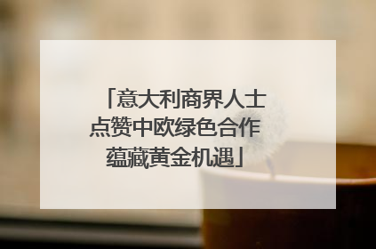 意大利商界人士点赞中欧绿色合作蕴藏黄金机遇