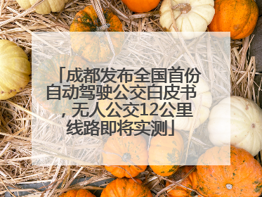 成都发布全国首份自动驾驶公交白皮书，无人公交12公里线路即将实测