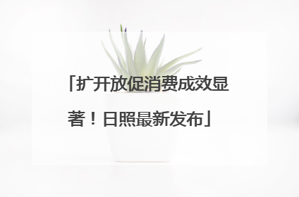扩开放促消费成效显著！日照最新发布