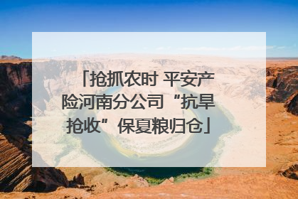 抢抓农时 平安产险河南分公司“抗旱抢收”保夏粮归仓