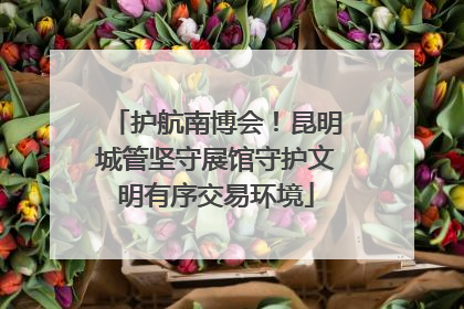 护航南博会！昆明城管坚守展馆守护文明有序交易环境