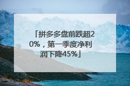 拼多多盘前跌超20%，第一季度净利润下降45%