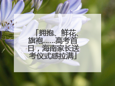 拥抱、鲜花、旗袍……高考首日，海南家长送考仪式感拉满