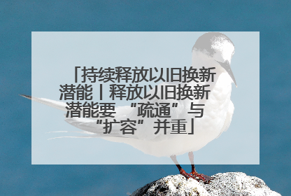 持续释放以旧换新潜能丨释放以旧换新潜能要 “疏通”与“扩容”并重